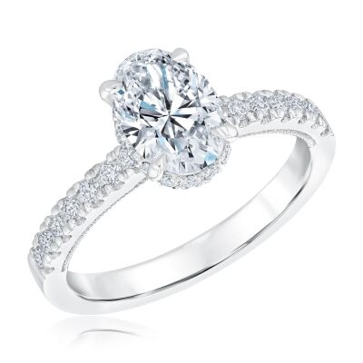 2ctw Oval Lab Grown Diamond Hidden Halo Engagement Ring - Chemistry