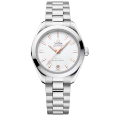 OMEGA Seamaster Aqua Terra Silvery Dial Stainless Steel Watch 30mm - 22010302002001 1
