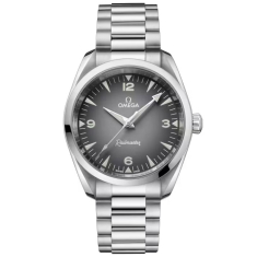 OMEGA Seamaster Railmaster Grey Dial Stainless Steel Watch 38mm - O23510382006001 1