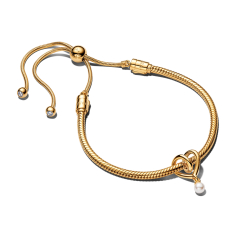 Pandora Golden Heart Bracelet Gift Set 1