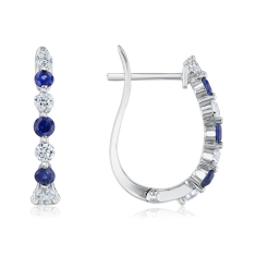 Blue Sapphire and 3/8ctw Diamond 14k White Gold Earrings - Watercolor Collection 1