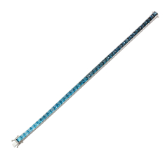 Primary - Enlarged