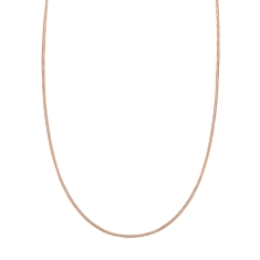 Primary - Enlarged