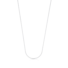 Primary - Enlarged