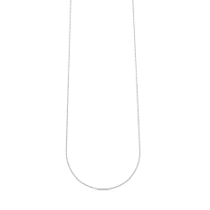 Primary - Enlarged