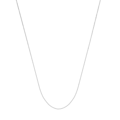 Primary - Enlarged